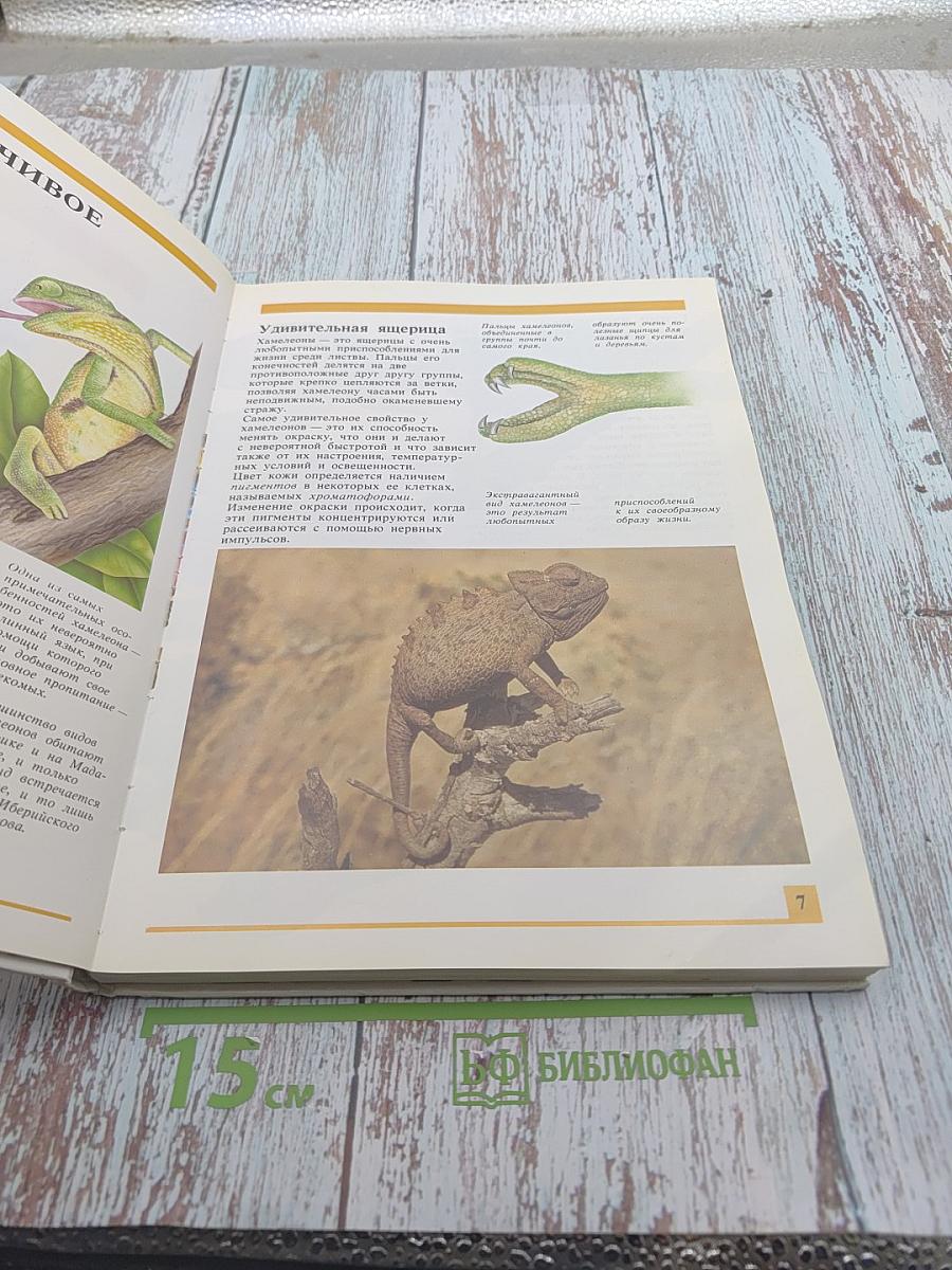 Секреты животного мира. Том 1: Хамелеон, Крот, Лягушка, Паук, Змея, Динозавр