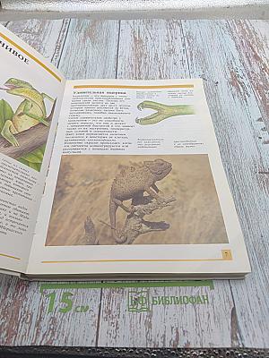 Секреты животного мира. Том 1: Хамелеон, Крот, Лягушка, Паук, Змея, Динозавр