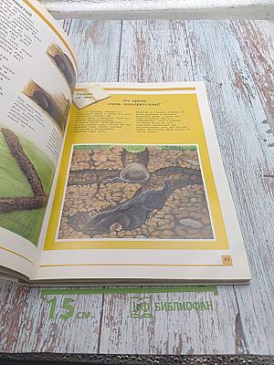 Секреты животного мира. Том 1: Хамелеон, Крот, Лягушка, Паук, Змея, Динозавр