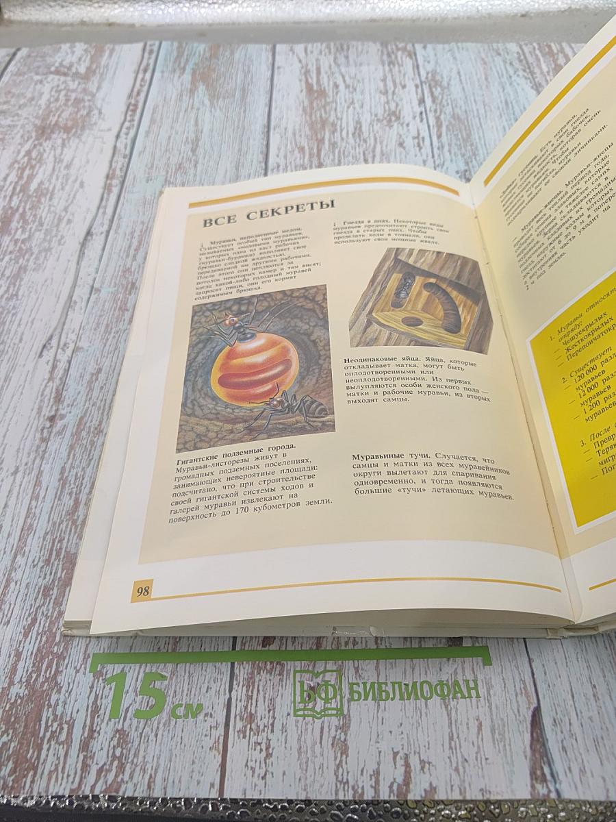 Секреты животного мира. Том 1: Хамелеон, Крот, Лягушка, Паук, Змея, Динозавр