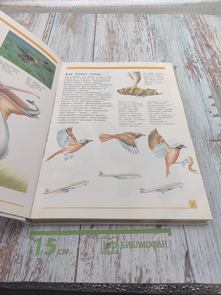 Секреты животного мира. Птица, аист, птенец, летучая мышь, бабочка, пчела, блоха