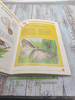 Секреты животного мира. Птица, аист, птенец, летучая мышь, бабочка, пчела, блоха