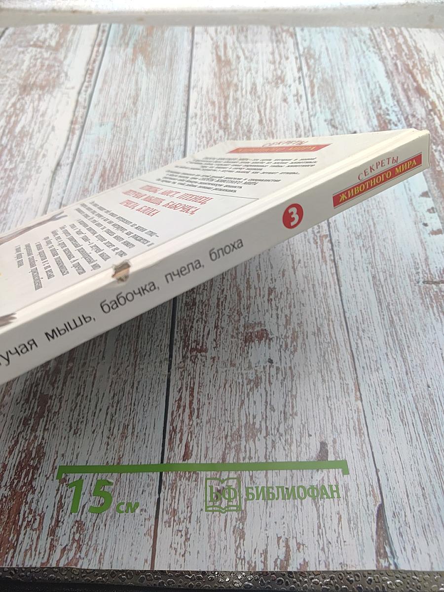 Секреты животного мира. Птица, аист, птенец, летучая мышь, бабочка, пчела, блоха