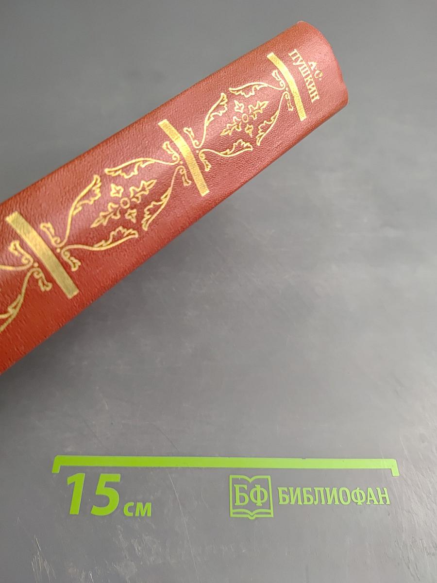 Собрание сочинений. Том пятый: Романы, Повести