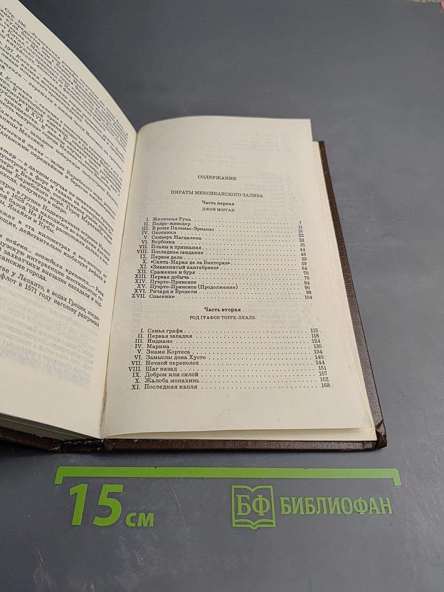 Пираты Мексиканского залива