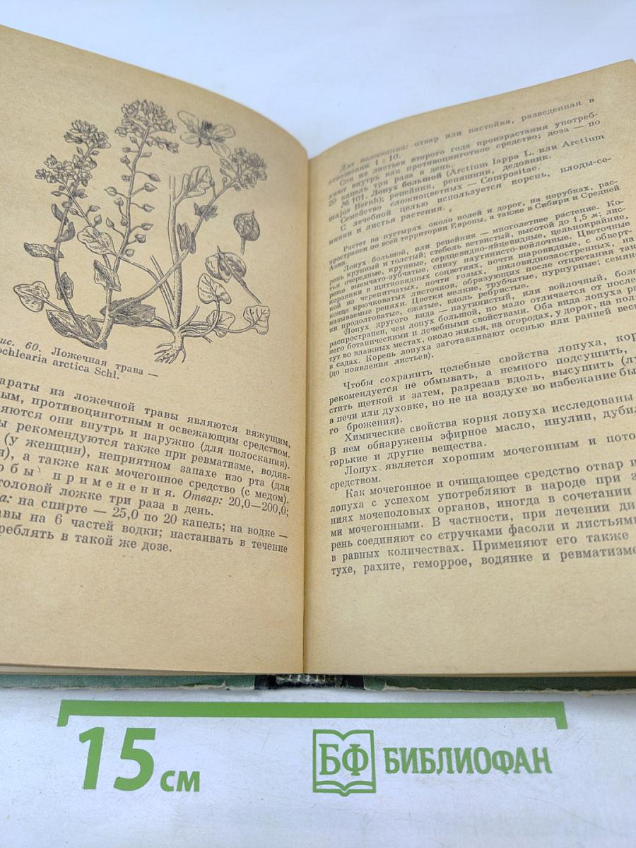 Лекарственные растения в народной медицине