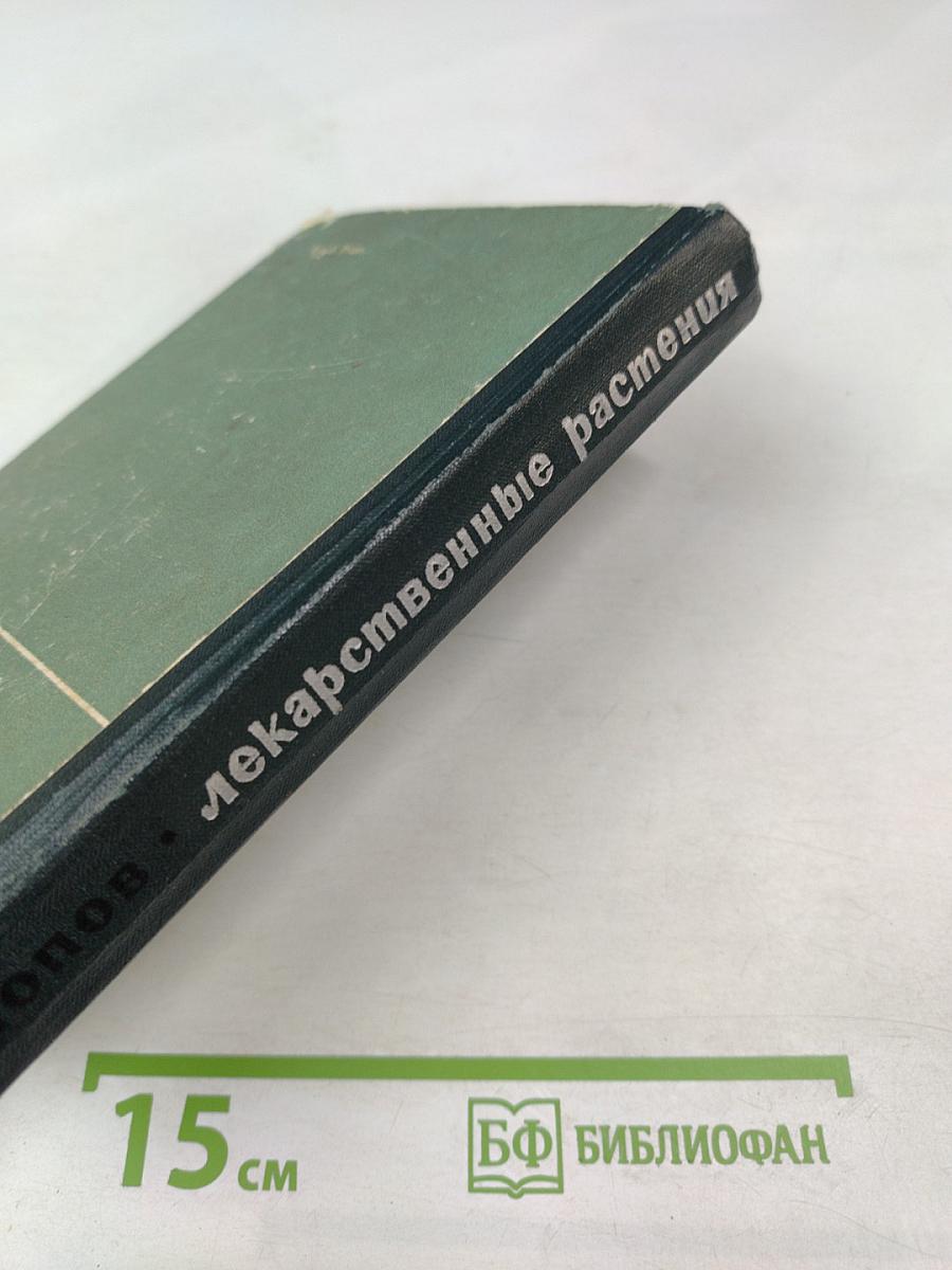 Лекарственные растения в народной медицине