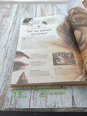 Гигантская детская энциклопедия