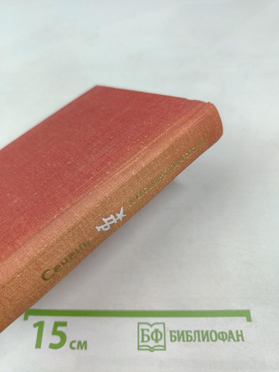 Сечень. Повесть об Иване Бабушкине