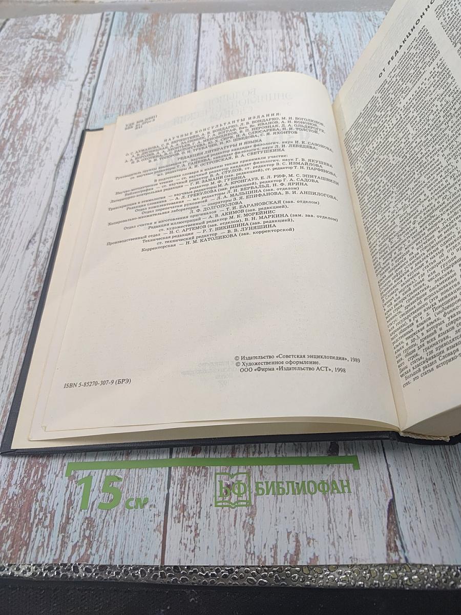 Большой энциклопедический словарь. Языкознание