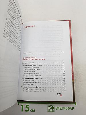 Литература 10 класс, Часть I