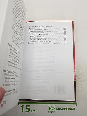 Литература 10 класс, Часть I