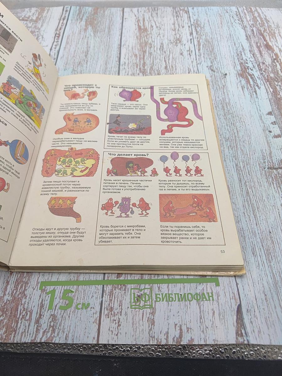 Детская энциклопедия