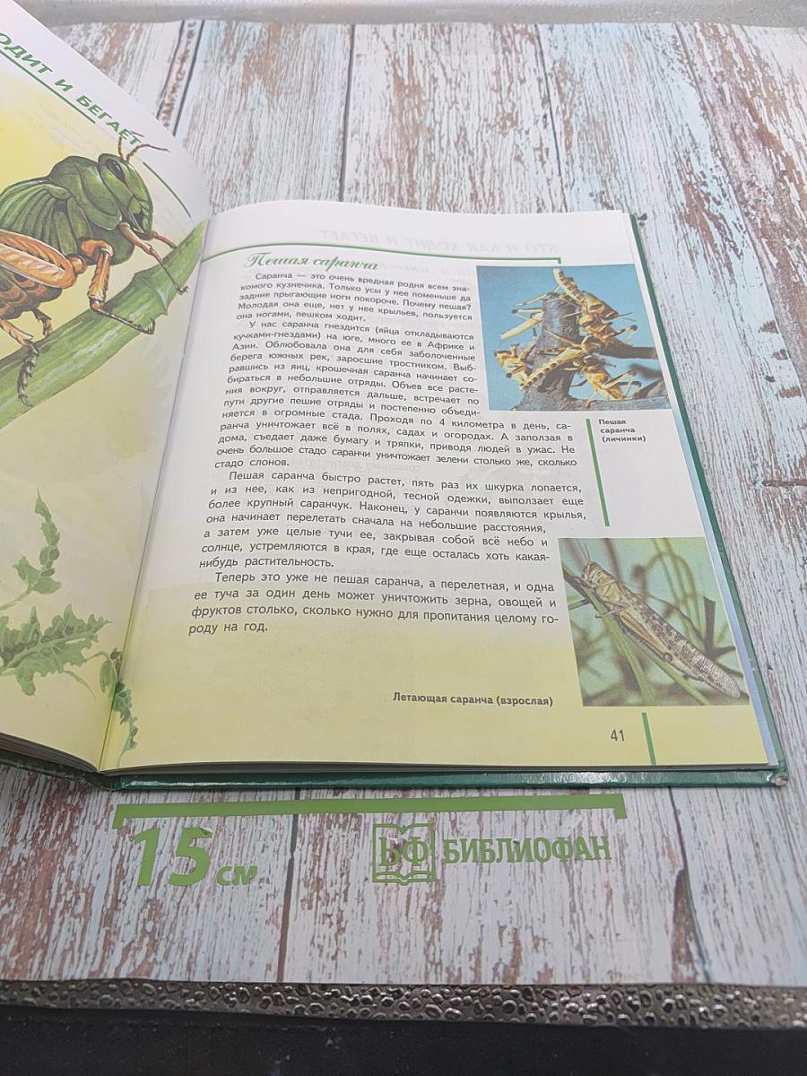 Кто и как в мире животных ДВИГАЕТСЯ