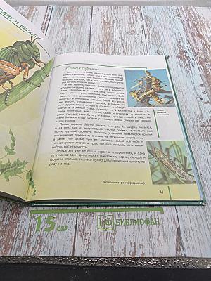 Кто и как в мире животных ДВИГАЕТСЯ