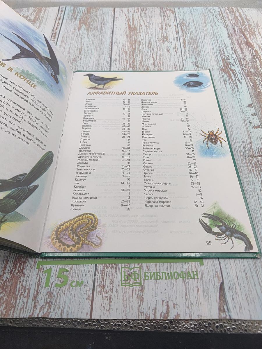 Кто и как в мире животных ДВИГАЕТСЯ