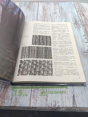 Азбука вязания