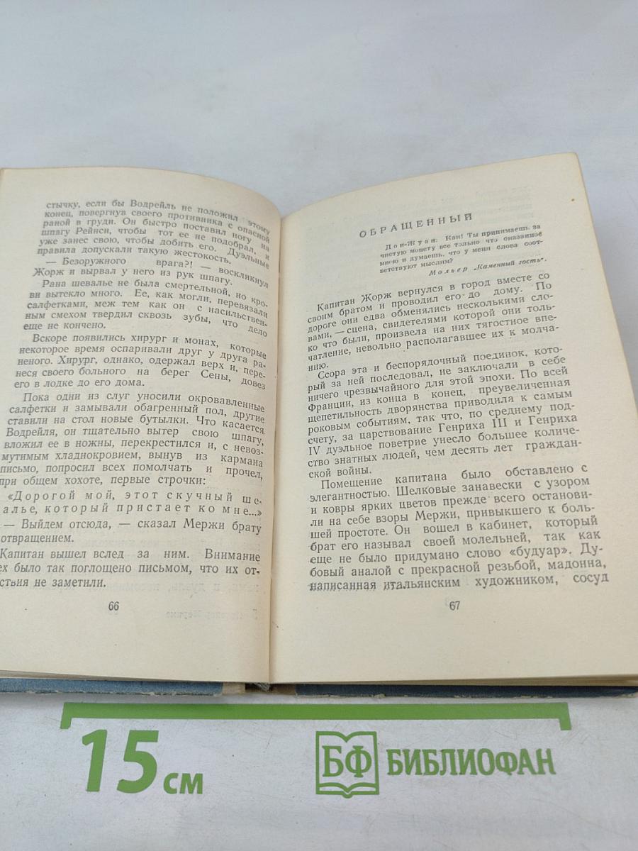 Хроника времен Карла IX