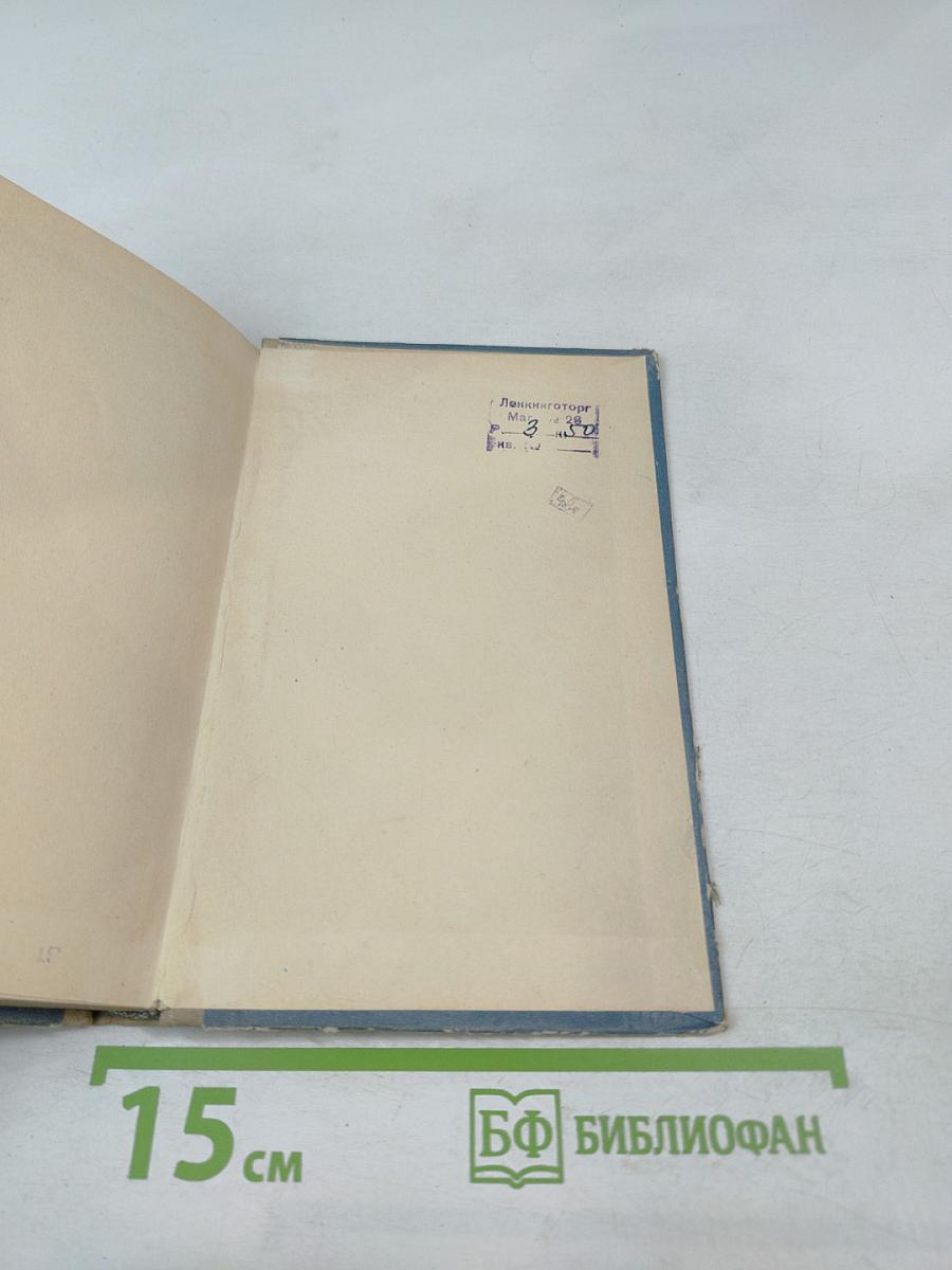 Хроника времен Карла IX