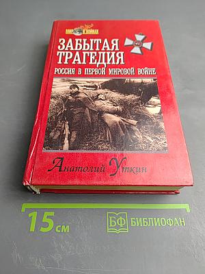 Забытая трагедия: Россия в Первой мировой войне