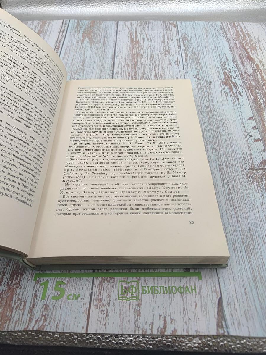 Колючее чудо