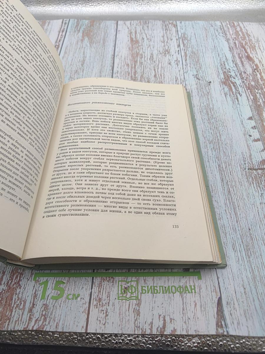 Колючее чудо