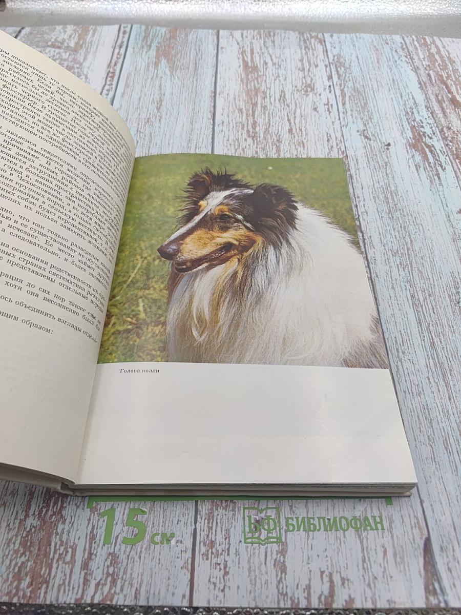 Атлас пород собак