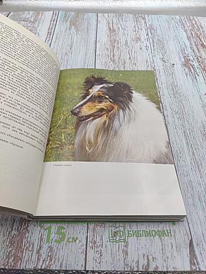 Атлас пород собак