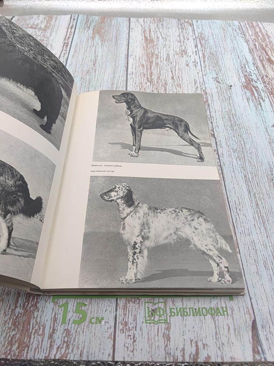 Атлас пород собак