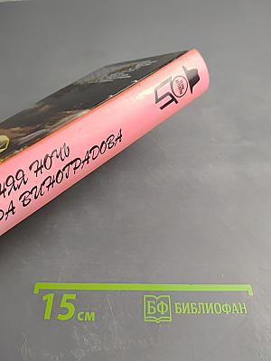 Последняя ночь майора Виноградова