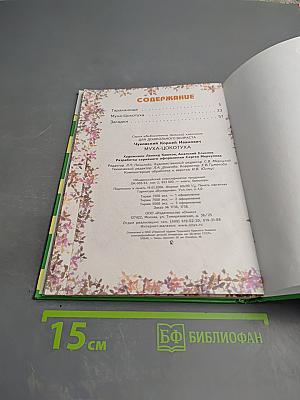 Тараканище. Муха-Цокотуха. Загадки