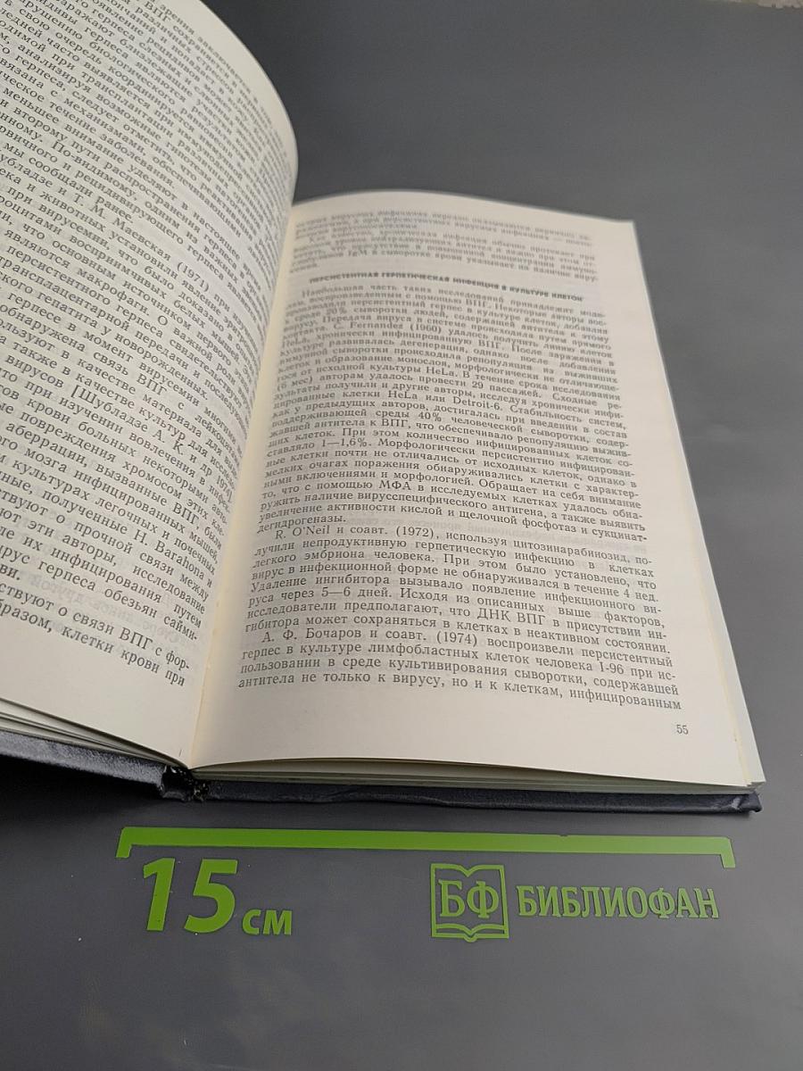 Герпес. Этиология, диагностика, лечение