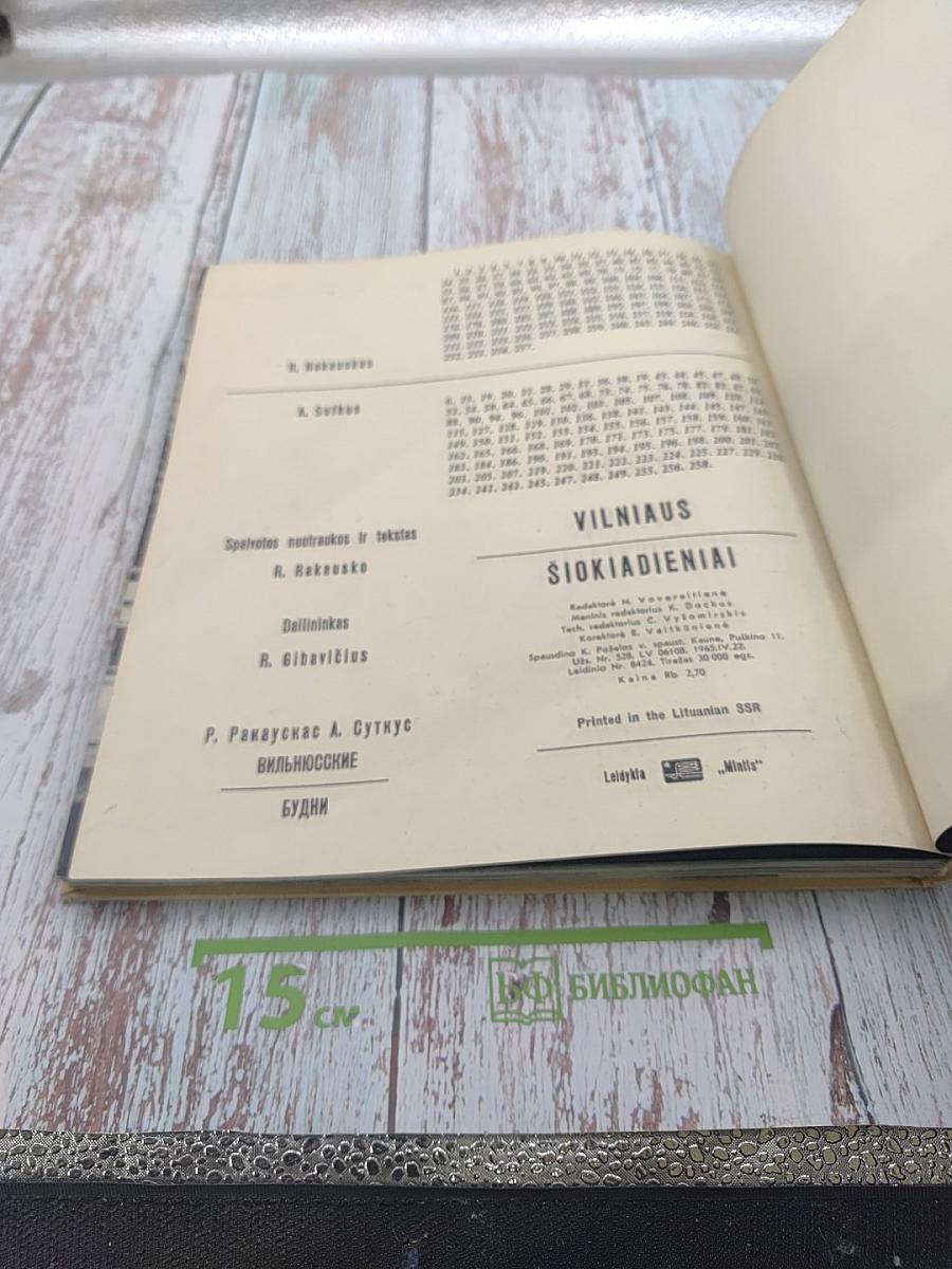 Вильнюсские будни