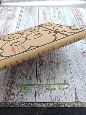 Вильнюсские будни