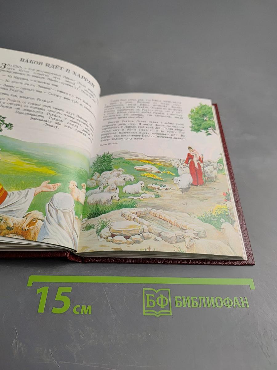 Моя книга библейских рассказов