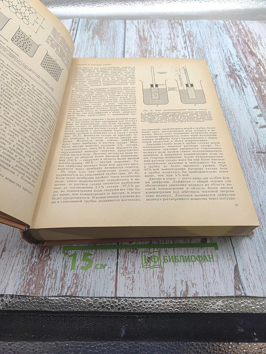 Биология (Биологические процессы и законы)