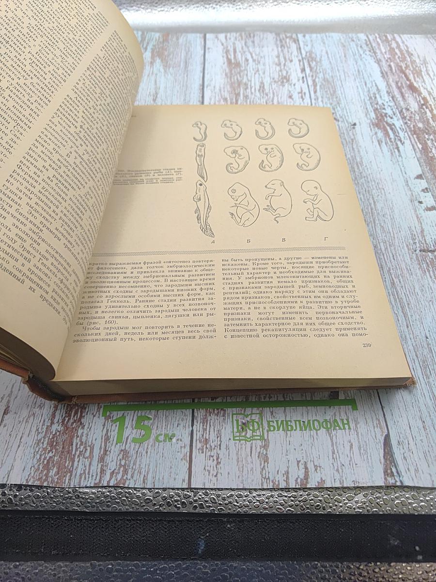 Биология (Биологические процессы и законы)