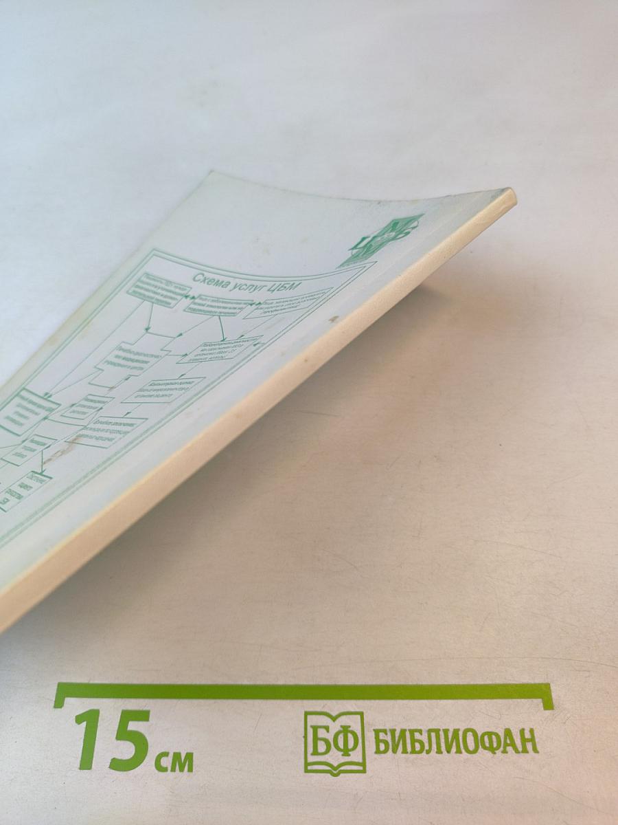 Микроэлементозы человека (диагностика и лечение)