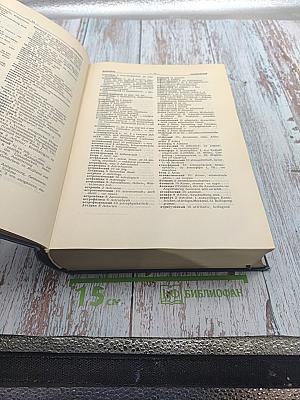 Russisch-Deutsches Wörterbuch