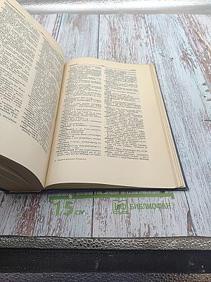 Russisch-Deutsches Wörterbuch