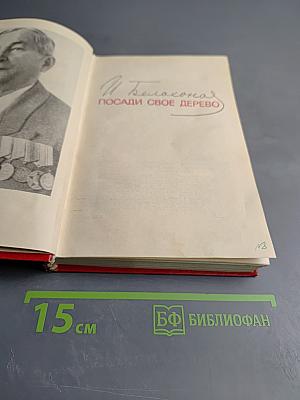 Посади свое дерево