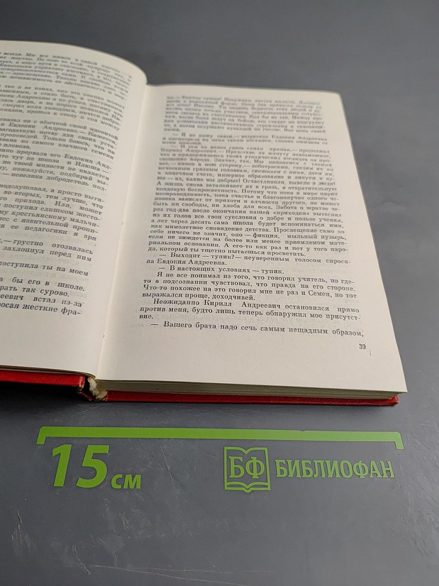 Посади свое дерево