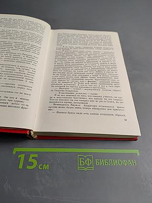 Посади свое дерево