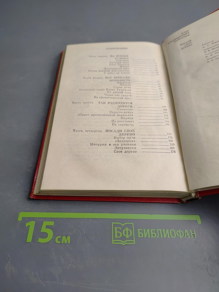 Посади свое дерево