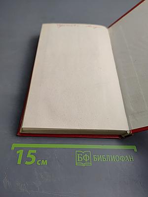 Посади свое дерево