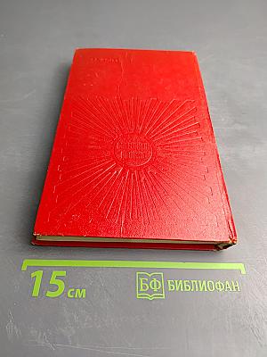 Посади свое дерево