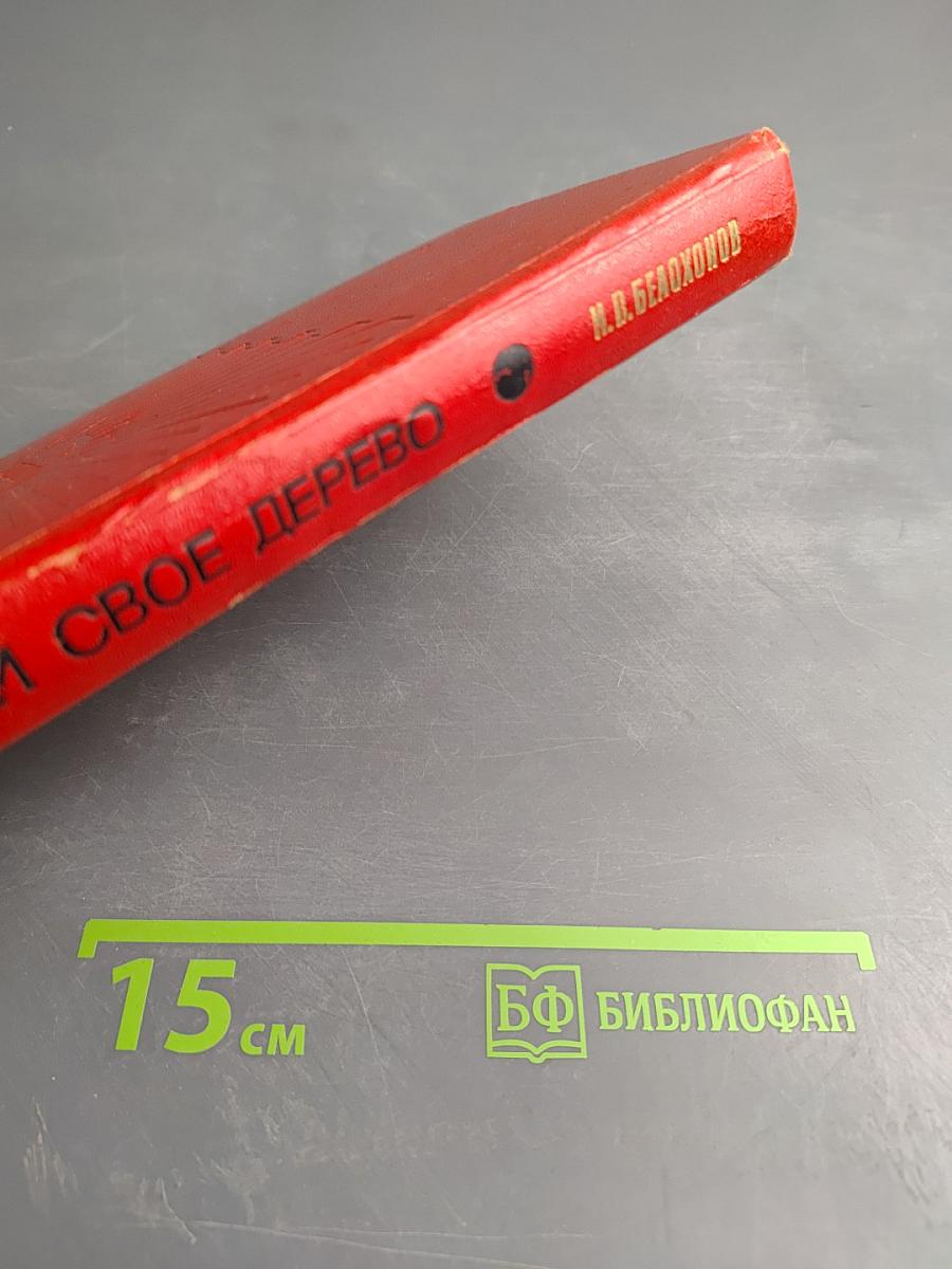 Посади свое дерево