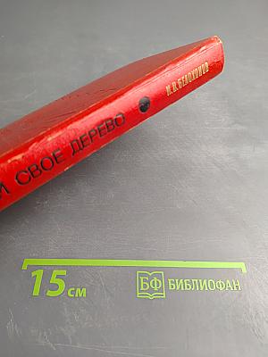 Посади свое дерево