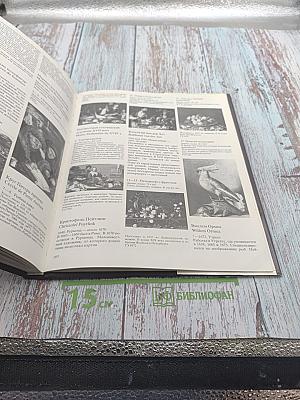 Голландский натюрморт XVII века в собрании Государственного Эрмитажа