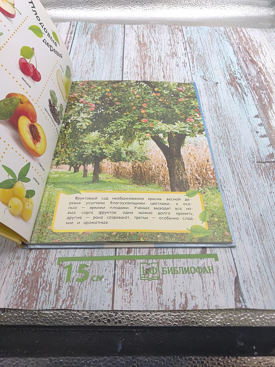 Овощи, Фрукты, Ягоды